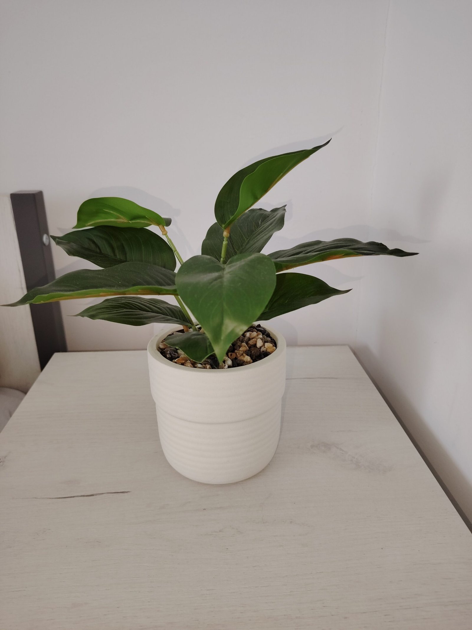 Kuhinja u apartmanu 2 tikvara Living